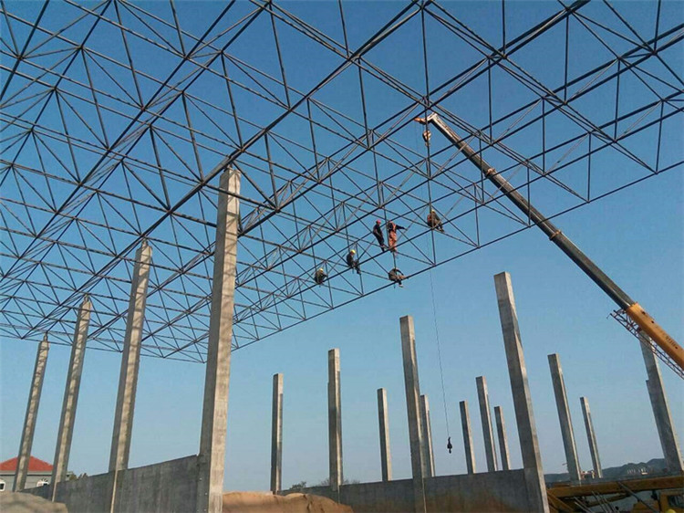 霸州加气站钢结构网架案例10
